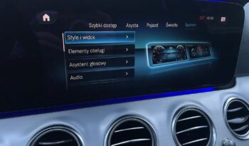 Mercedes-Benz Klasa E300de full