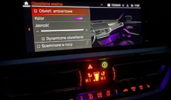 BMW Seria 3 320d xDrive M Sport full