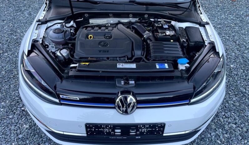 Volkswagen Golf full
